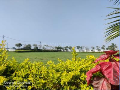Sunderdeep Infocity Phase 2 Landscape Garden and Tree Planting 1