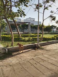 Citi Vistaar Landscape Garden and Tree Planting 4