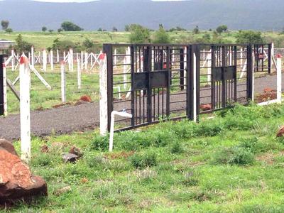 Project Image of 1867.0 - 5845.0 Sq.ft Residential Plot Plot for buy in Landscapes Nisargsrishti