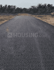 Project Images