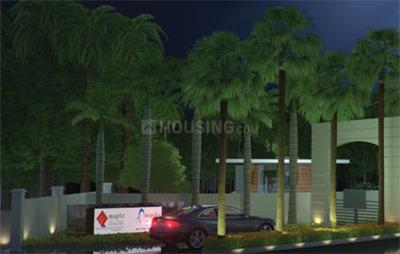 Project Image of 6000.0 - 10000.0 Sq.ft Residential Plot Plot for buy in Maple Echtuo