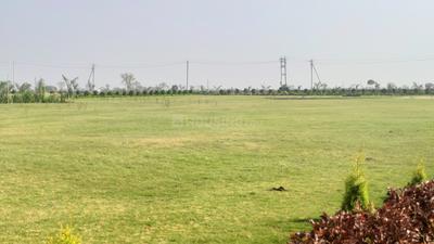 Project Image of 1000.0 - 4000.0 Sq.ft Residential Plot Plot for buy in Goodluck Residency Phase 2