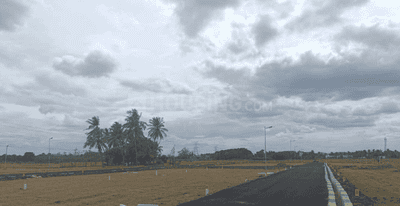 Project Images
