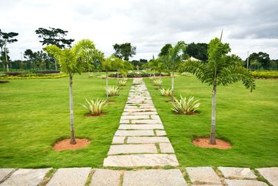 Project Image of 1200.0 - 4000.0 Sq.ft Residential Plot Plot for buy in ESS Sree Sapthamathruka Layout