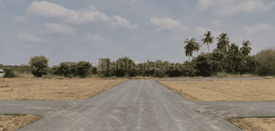 Project Images