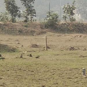 Project Image of 1440.0 - 3600.0 Sq.ft Residential Plot Plot for buy in Shrishti Nagar