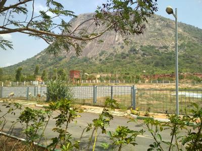 Project Image of 1250.0 - 2400.0 Sq.ft Residential Plot Plot for buy in DivyaSree Base Camp
