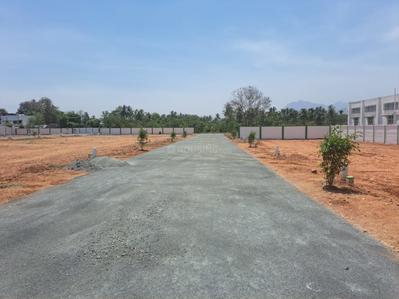 The New Town Elevation 1