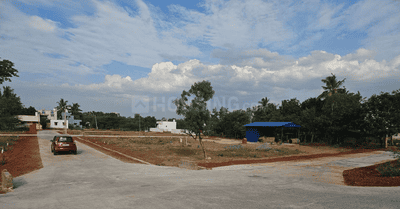 Project Images