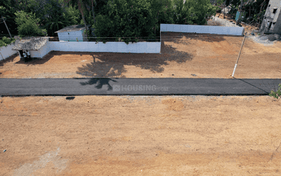 Project Images