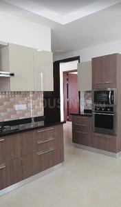 Project Images