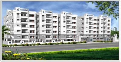 Shamrock Elevation 1