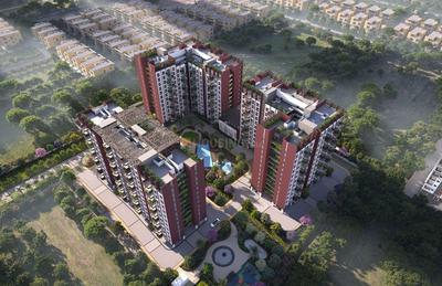 Cynosure Sunny Groves Elevation 2