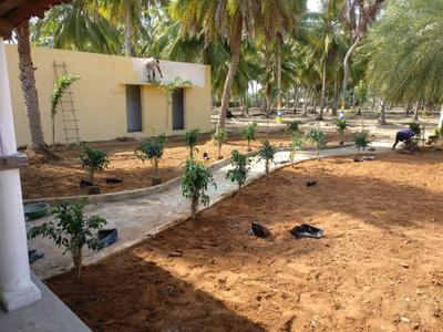Project Image of 600.0 - 4800.0 Sq.ft Residential Plot Plot for buy in Accord Ranch City