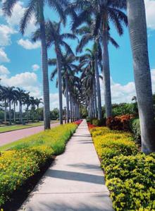 Project Image of 1298.0 - 4050.0 Sq.ft Residential Plot Plot for buy in RRR The Grand Green Valley