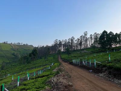Project Image of 1000.0 - 12589.0 Sq.ft Residential Plot Plot for buy in Green Farm Estates