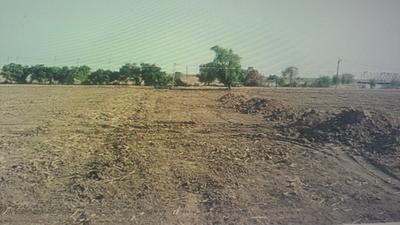 Project Image of 456.17 - 1309.75 Sq.ft Residential Plot Plot for buy in Anthems Madhav Kunj