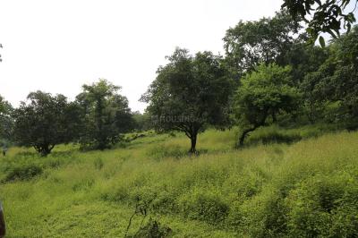 Project Image of 21776.0 - 59019.0 Sq.ft Residential Plot Plot for buy in Holistic Evernest Prime Roha