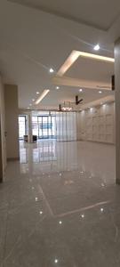 Project Image of 1270.0 - 2750.0 Sq.ft 3 BHK Builder Floor for buy in Magic Ultra Luxurious Floors