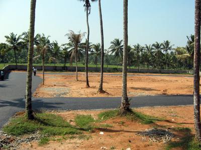 Project Image of 1572.0 - 3571.0 Sq.ft Residential Plot Plot for buy in Coral Gardens