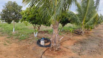 Project Image of 1089.0 - 5445.0 Sq.ft Residential Plot Plot for buy in Fortune Samskruthi Farms