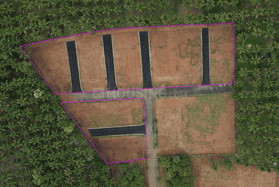 Project Images