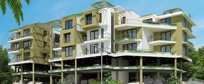 Gallery Cover Pic of Petra Apartments