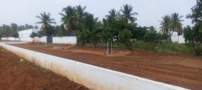 Daisy Garden Plot 3