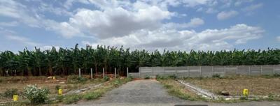 Project Images