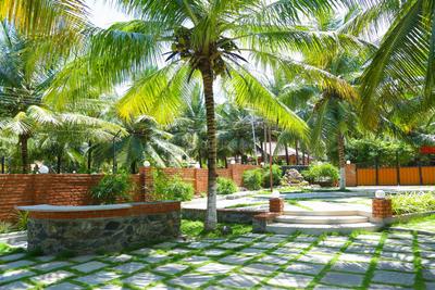 Project Image of 1560.0 - 14589.0 Sq.ft Residential Plot Plot for buy in Coconest