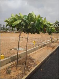 Project Image of 900.0 - 2400.0 Sq.ft Residential Plot Plot for buy in SKH Echium Phase 1