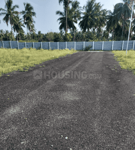 Project Images