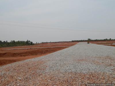 Project Image of 1180.0 - 5000.0 Sq.ft Residential Plot Plot for buy in Enrich Akshaya Meadows