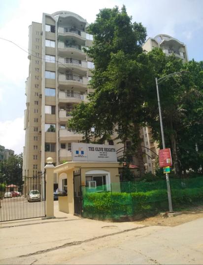 Forte Olive Heights Elevation 1