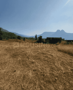 Project Image of 1000.0 - 10000.0 Sq.ft Residential Plot Plot for buy in Towncity Plots in Chirle