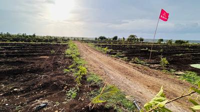 Project Image of 5445.0 - 43560.0 Sq.ft Residential Plot Plot for buy in Lotus Mana Polam