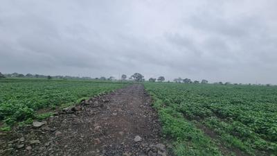 Project Image of 387.5 - 944.75 Sq.ft Residential Plot Plot for buy in Arihant Natures Home