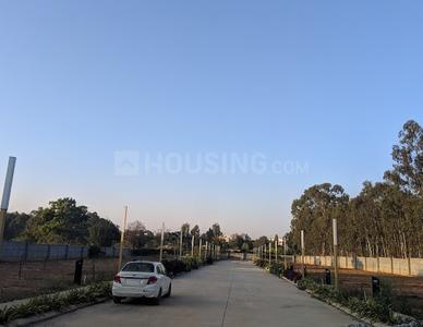 Project Image of 1200.0 - 2400.0 Sq.ft Residential Plot Plot for buy in Confident Olive