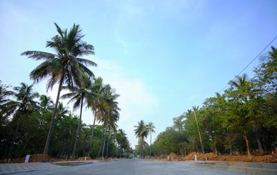 Project Image of 1593.06 - 4389.0 Sq.ft Residential Plot Plot for buy in DRA Ranka Palm Lakeside