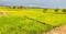 Capstone Land Plots in Ulwe Plot 1
