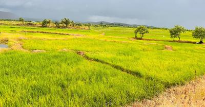 Project Image of 0.0 - 1089.0 Sq.ft Residential Plot Plot for buy in Capstone Land Plots in Ulwe