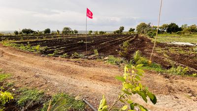 Project Image of 5445.0 - 43560.0 Sq.ft Residential Plot Plot for buy in Lotus Mana Polam