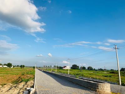 Project Image of 1980.0 - 5400.0 Sq.ft Residential Plot Plot for buy in True Fortune