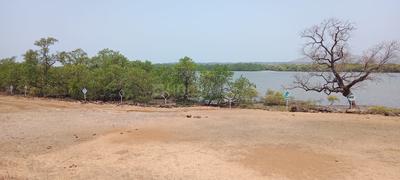 Royals Plots in Alibag Plot 1