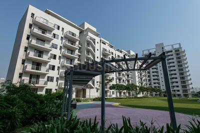 Vatika Sovereign Next Others 1