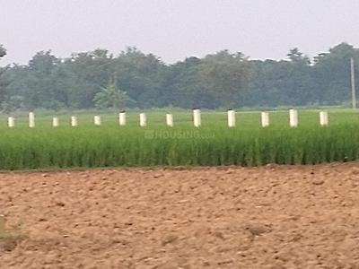 Project Image of 1199.96 - 2400.03 Sq.ft Residential Plot Plot for buy in Lavanya Sundar City