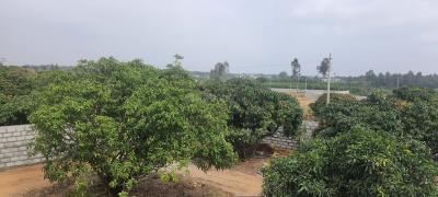 Project Image of 5178.0 - 11433.0 Sq.ft Residential Plot Plot for buy in PK Mango Nest Farmlands