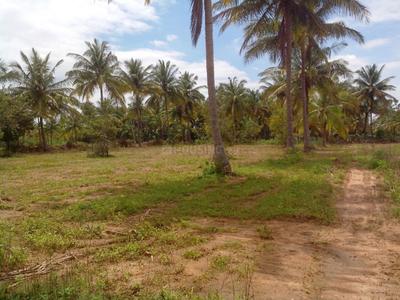 Project Image of 1200.0 - 2400.0 Sq.ft Residential Plot Plot for buy in Ashoka Aarna