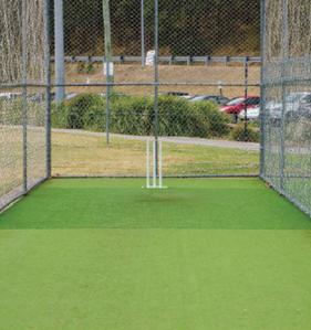 Century Seasons Cricket Pitch 4