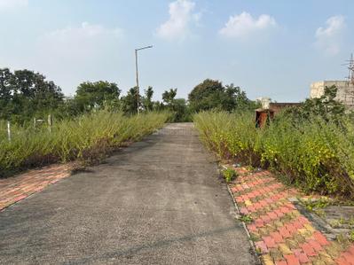 Project Image of 1049.49 - 2322.12 Sq.ft Residential Plot Plot for buy in Oasis 31